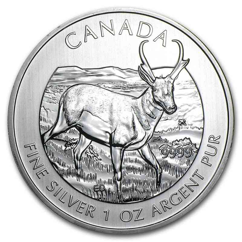 1 oz Silver PRONGHORN ANTELOPE Wildlife Series Coin .9999 BU 2013 Canada