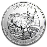 1 oz Silver PRONGHORN ANTELOPE Wildlife Series Coin .9999 BU 2013 Canada