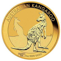 1 oz Gold Kangaroo (Random Year)